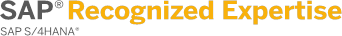 sap-expertise-consulenza-it